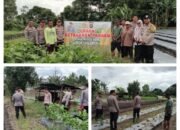 AKP Marwan, SH Hadiri Kegiatan Peninjauan Lahan Ketahanan Pangan Program 1 Pekarangan Bergizi di Desa Kace Timur