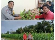 Bhabinkamtibmas Desa Merawang Aipda Julian Bersama Masyarakat Tanam Jagung di Lahan Koatin Merawang Kabupaten Bangka